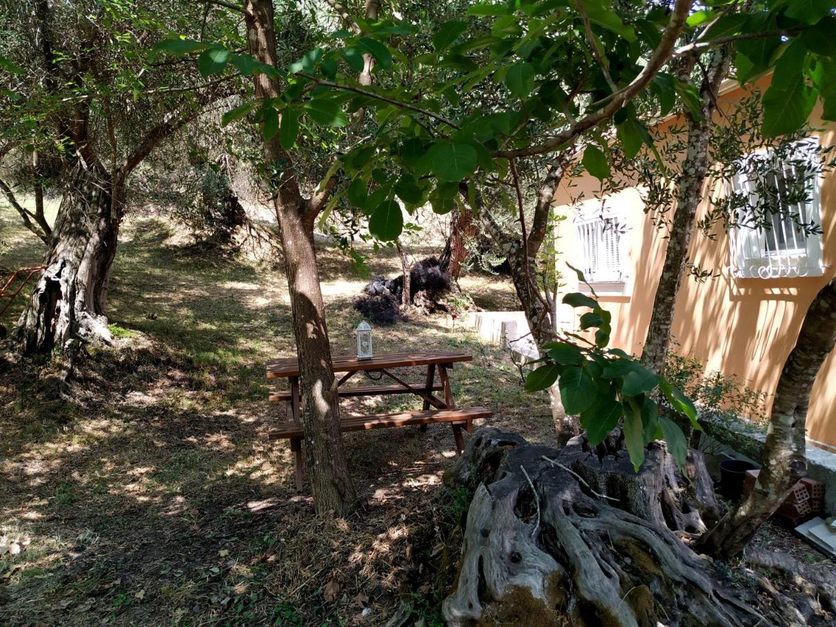 Family Holiday Apartment With Garden & Bbq Velonades  Luaran gambar