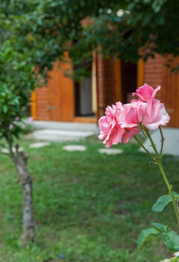 Family Holiday Apartment With Garden & Bbq Velonades  Luaran gambar
